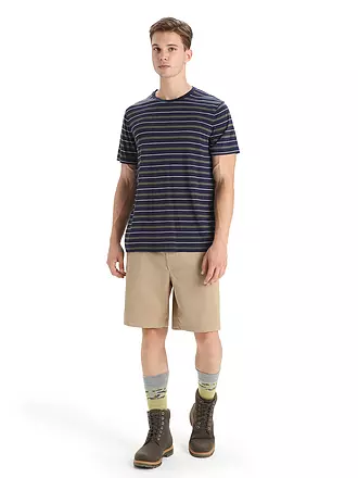 ICEBREAKER | Herren Funktionsshirt Wave Stripe | 